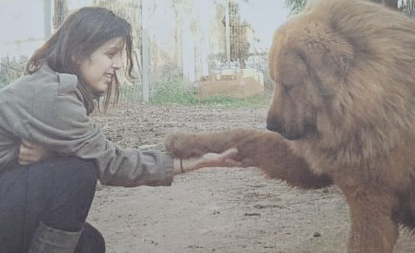 הסטודנטית יחד עם הכלב שכמעט גרם למותה, זמן מה לפני האירוע תביעה על סך 2.5 מיליון שקל בגין כלב שתקף סטודנטית