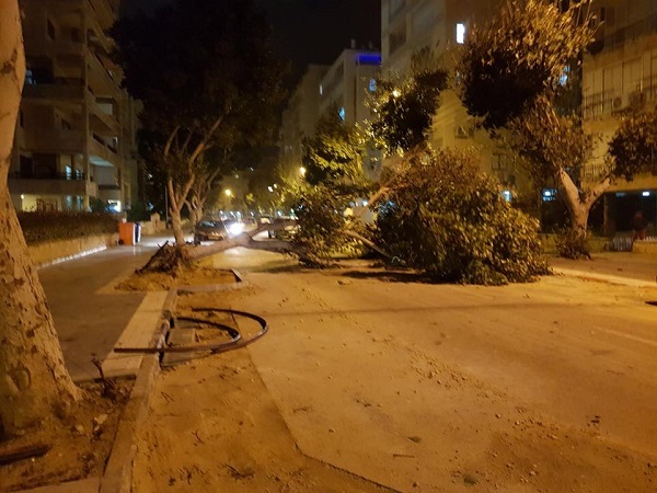חדשות מקומיות - מפגעי מזג האוויר: עצים נפלו, כבישים נחסמו