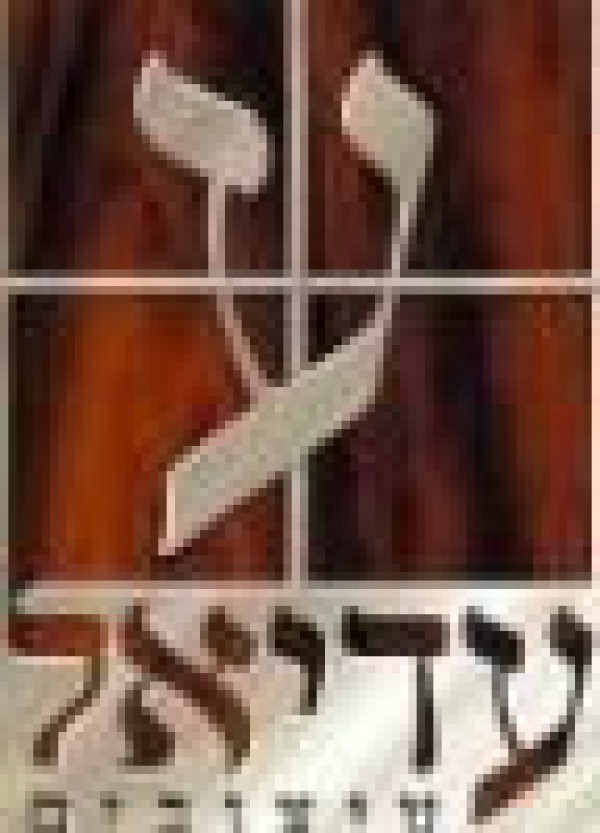 עדיאל עיצובים