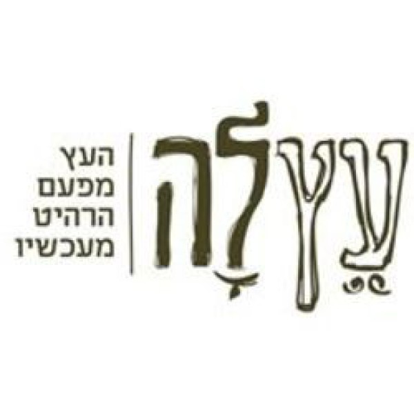 מיכל טיברג נגרות יפה