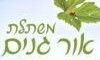 משתלת אור-גנים