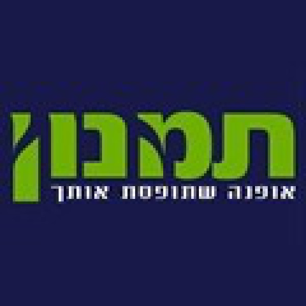 תמנון