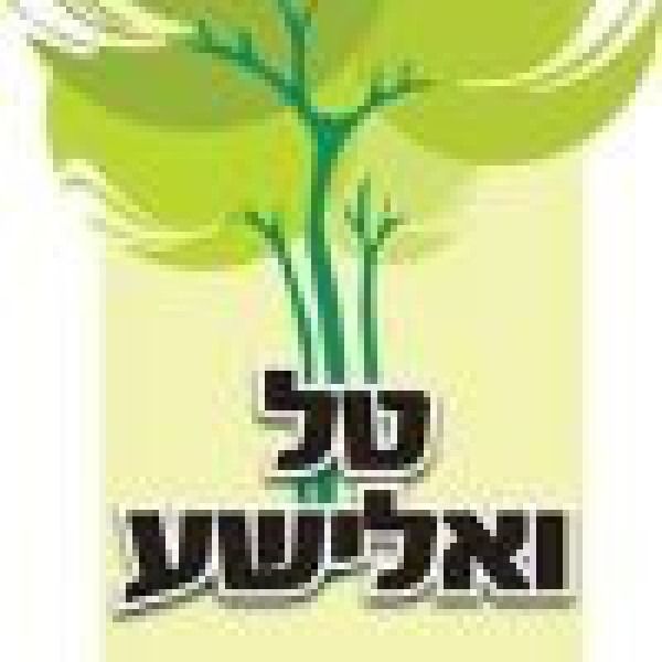 טל ואלישע תכנון והקמת גינות