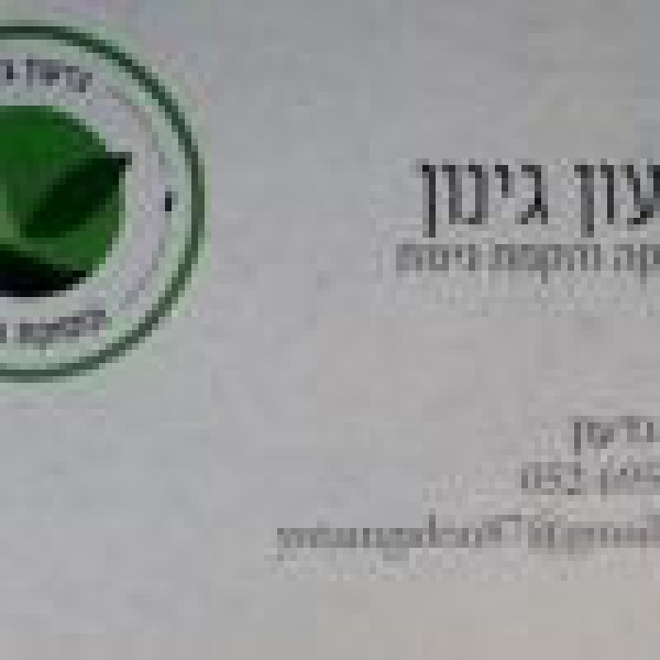 גדעון גינון