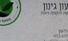 גדעון גינון
