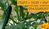 ירון גינות ירק