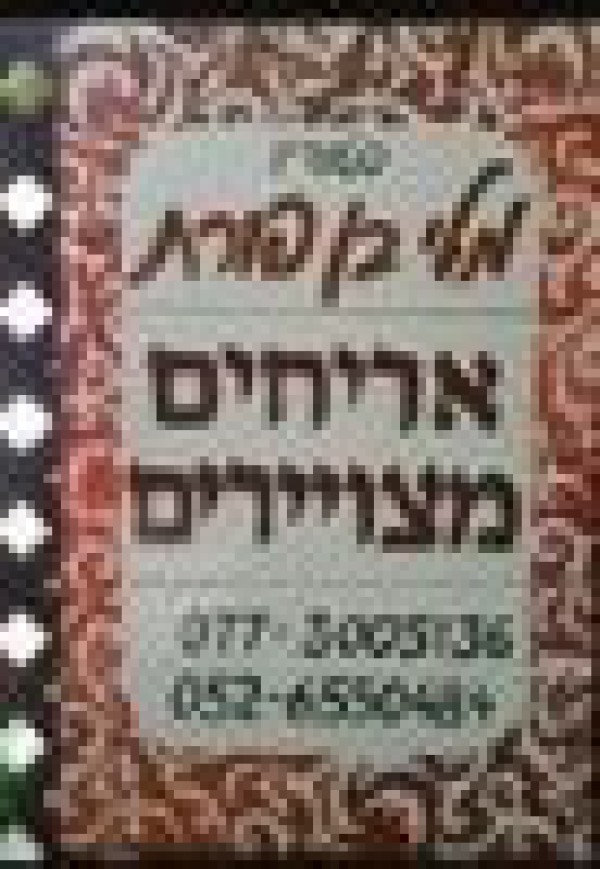 מלי בן פורת סטודיו לעיצוב וציור אריחי קרמיקה
