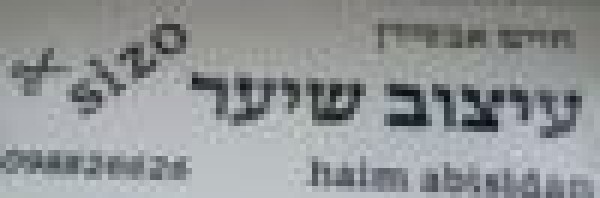חיים אביסידן