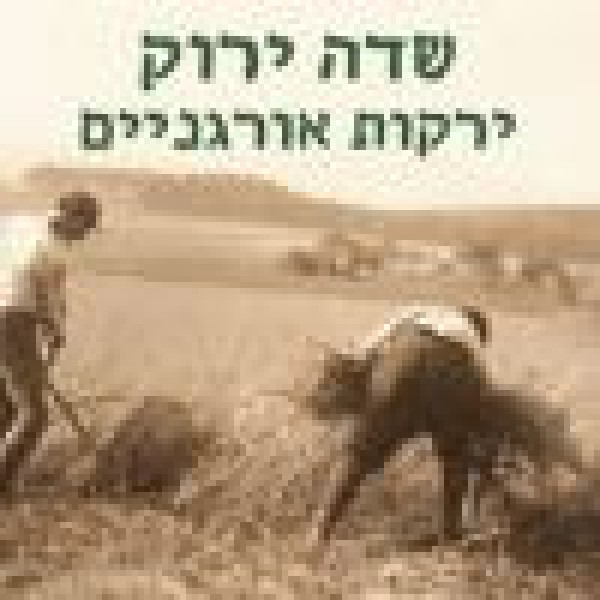 שדה ירוק ירקות אורגניים