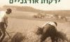 שדה ירוק ירקות אורגניים