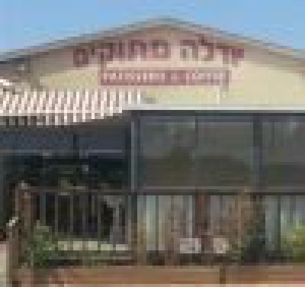הבשר של ניר