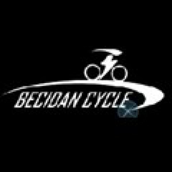 Becidan cycle