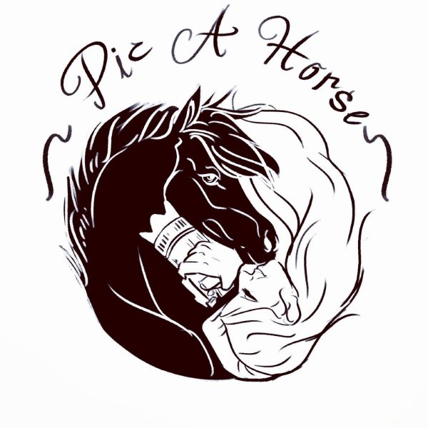 pic a horse סדנאות