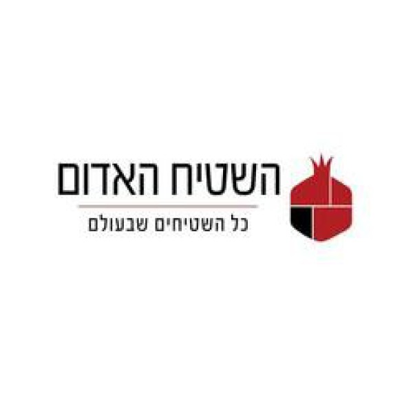 השטיח האדום 