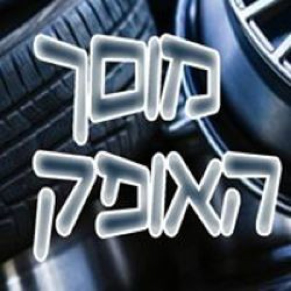 מוסך האופק מלכה דדה 