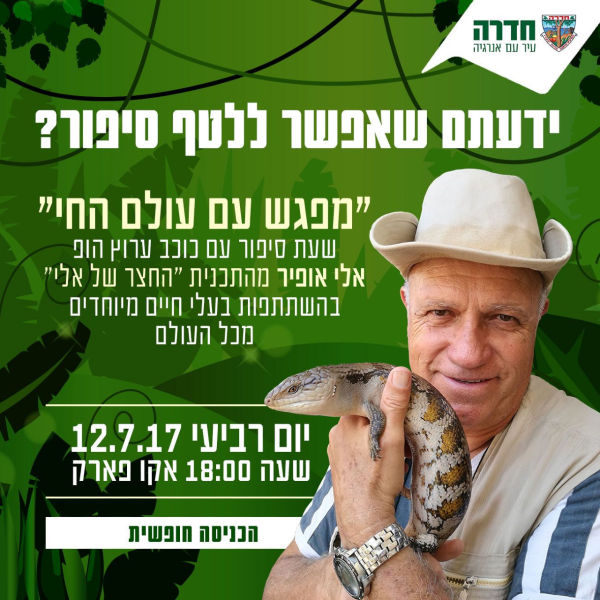 אופיר אלי