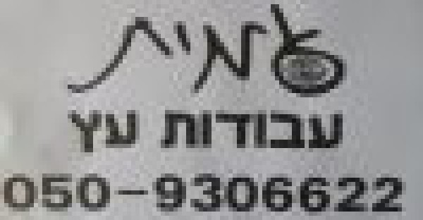 עמית עבודות בעץ 