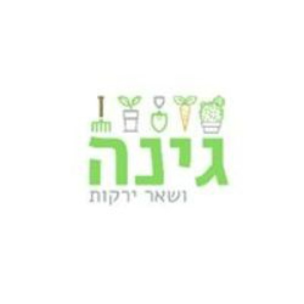 גינה ושאר הירקות