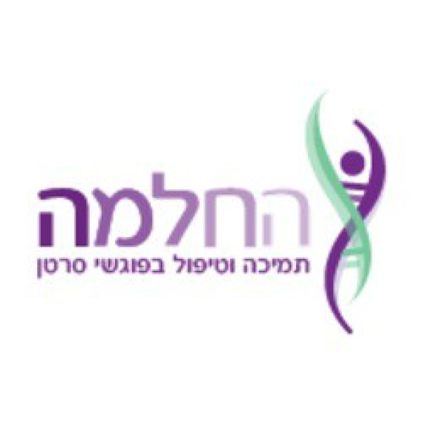 החלמה סער שדה 