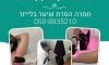 תמרה 