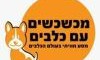 מכשכשים עם כלבים 
