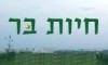 חיות בר