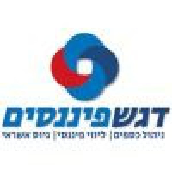 דגש פיננסים ניהול כספים בניהול רו
