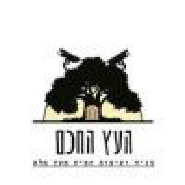 העץ החכם 