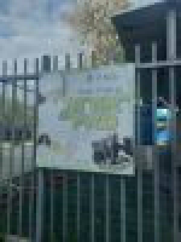 גן אורות מאיר