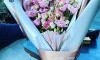 Rose&co 