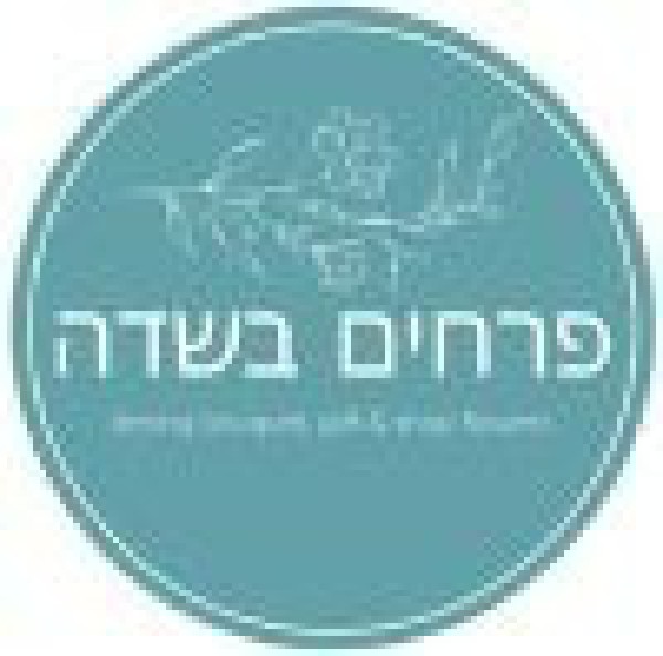 פרחים בשדה 