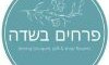 פרחים בשדה 