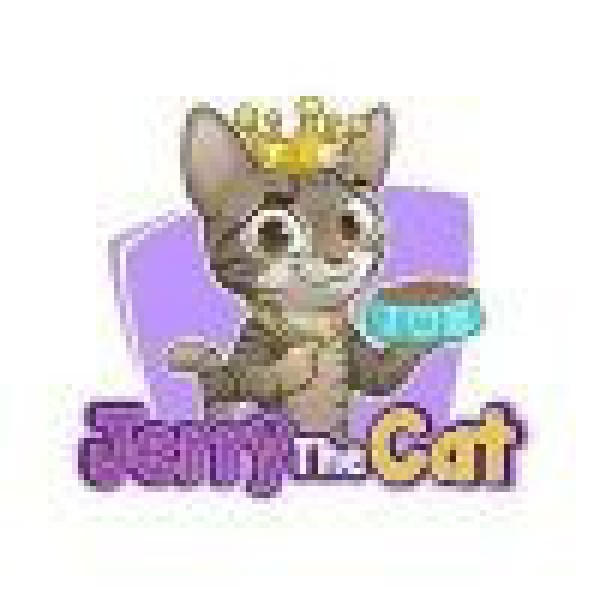 Jerry The Cat