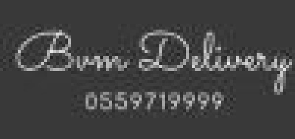 B.V.M מצברים ושליחויות