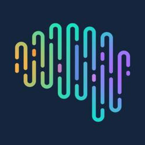 Digital Brain 