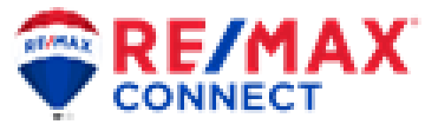 REMAX Connect 