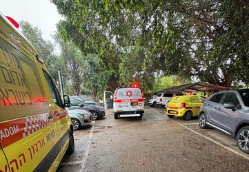 גבר בן 65 נפל מסוס באודים