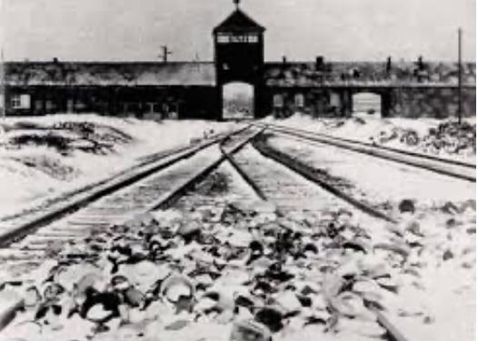 דעה אישית - שחרור אושוויץ בעיני ניצול