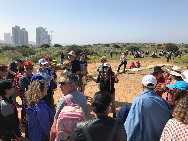 שמורת האירוסים שמורות הטבע בנתניה בשיא פריחתם