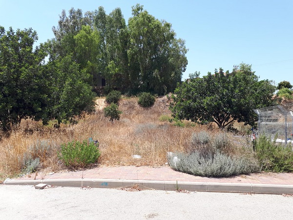הקרן לשיקום מחצבות תחל בשיקום מחצבת כפר הרא"ה 