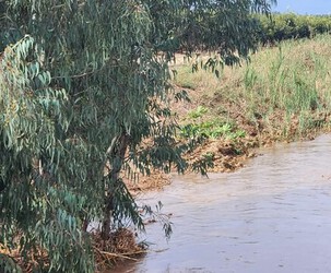 אירוע הגשם הראשון של חורף 25-26