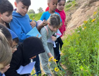 תוכנית "העיר כבית ספר" תתרחב