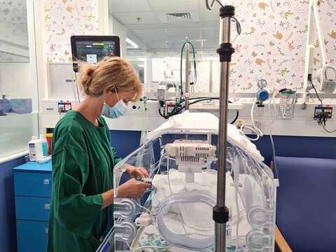  שיא בפגיית לניאדו: חמישה זוגות תאומים בו־זמנית