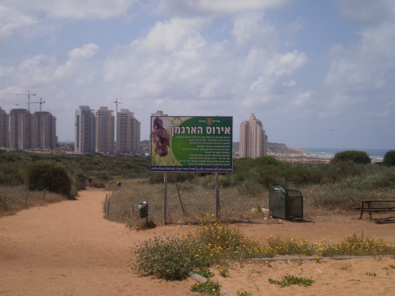 שמורת אירוס הארגמן