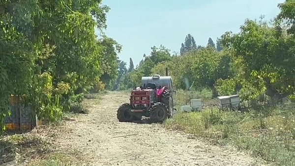 זירת האירוע | צילום: תיעוד מבצעי מד"א  נהג טרקטור איבד את ההכרה, התנגש בכוורת דבורים ומת