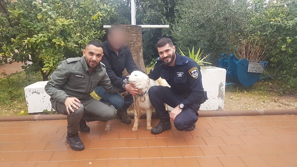 לאקי שב הביתה לאחר ניסיון סחיטה