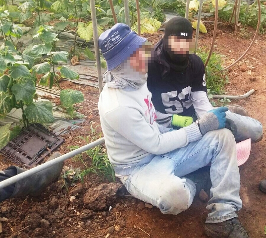 שבח"ים מחופשים לתאילנדים | תמונה: חטיבת דובר המשטרה 3 שב"חים מחופשים לתאילנדים באזור עמק חפר