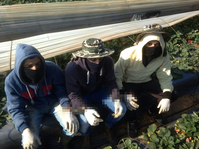 שלושה שב"חים מחופשים לעובדים זרים שלושה שב"חים מחופשים לעובדים זרים בקדימה