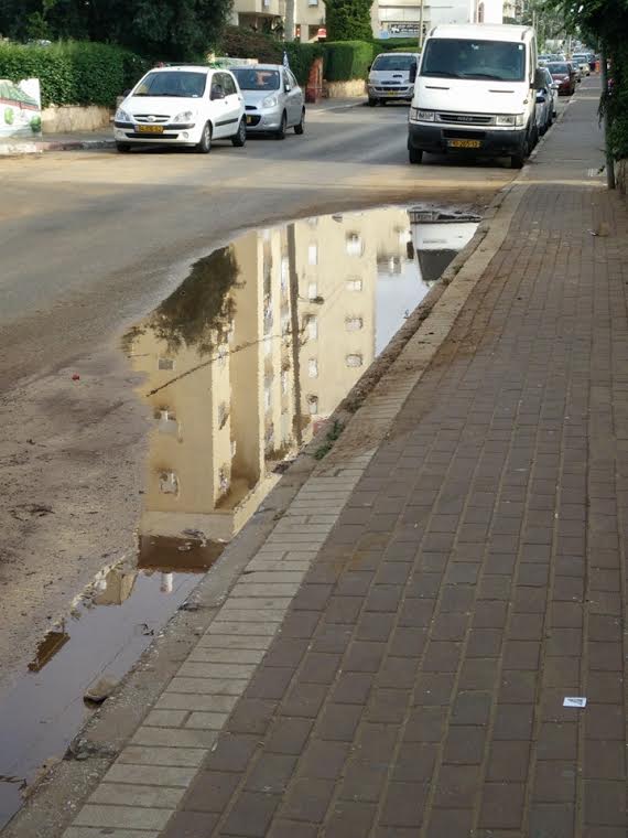 שלוליות או לא להיות