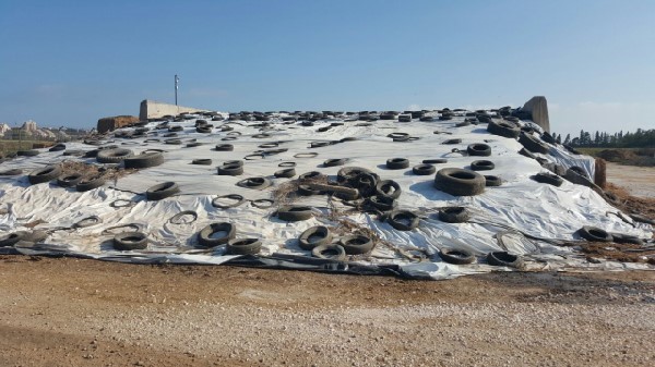 חדשות מקומיות - המאבק הנתנייתי ביתוש הנמר האסייתי